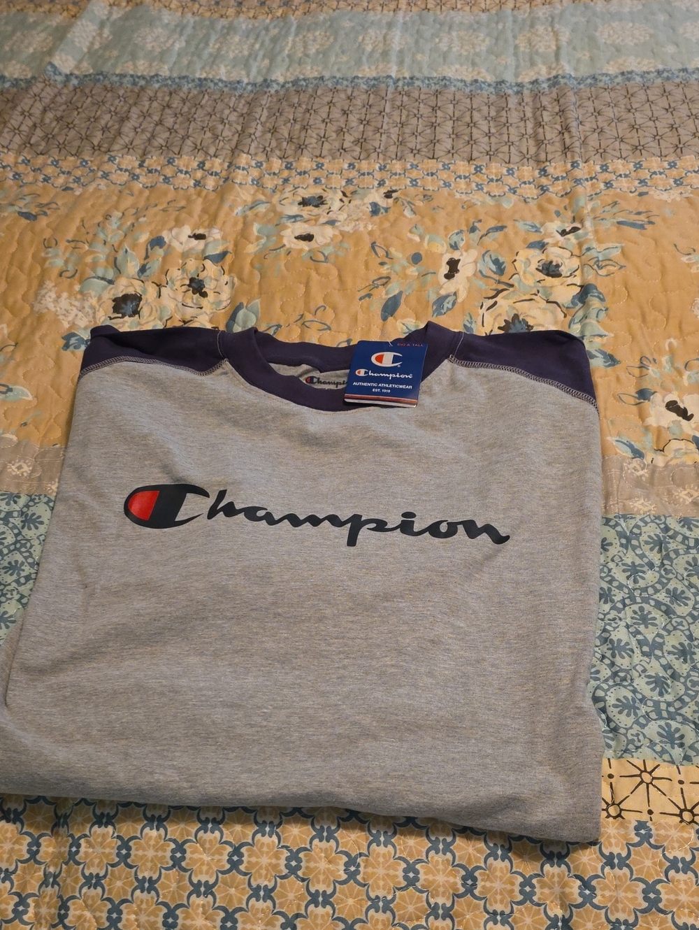 Champion Gray Crewneck with Navy Trim and Red Logo Accent